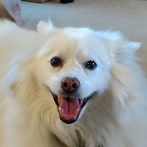 Meet your Posher, Margaret